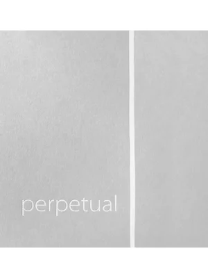 Odeslání Ihned Pirastro PERPETUAL (E platinum) violin 31A131