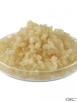 Aktuální Dictum 450142 - Isinglass Glue, Granulate