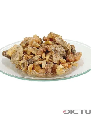 Sezónní Sleva Dictum 810023 - Benzoin