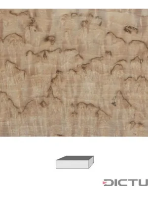 Dictum 831326 - Masur Birch, 1. Quality, 120 x 40 x 30 mm Cenový Hit