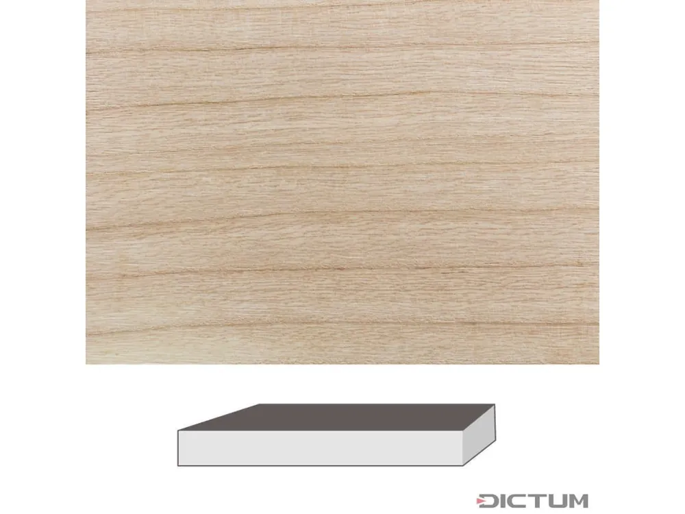 Dictum 831973 - Ash, 300 x 60 x 60 mm Ověřený