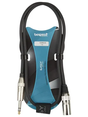 BESPECO XCMS100 Zlevněný