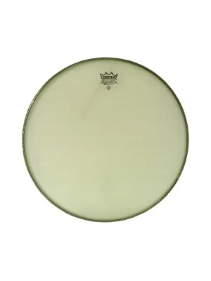 Akční Nabídka Remo Ambassador Renaissance 12" RA-0012-SS