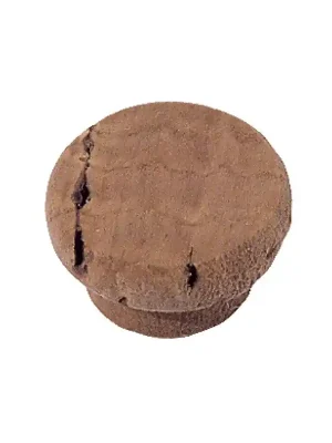 Objednat Nyní Gewa Korek na vodní klapky 5/13/10