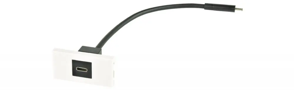 Nízká Cena AV:Link modul nástěnného rámečku,USB typ C