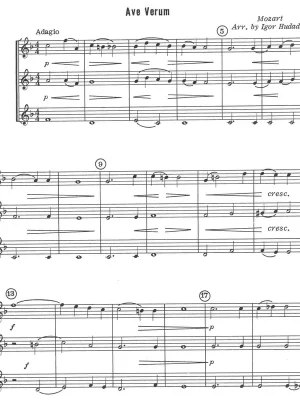 24 TRUMPET TRIOS arranged by Igor Hudadoff / tria pro trumpetu Autentický