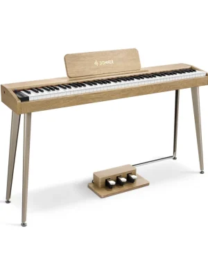 Nejlepší Cena DONNER DDP-60 A-Stock