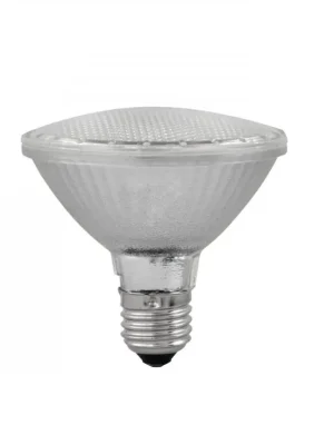 Doprava Zdarma Omnilux PAR 30 230V SMD 6W E27 LED 6500K