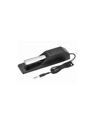 Korg DS-1H Cenový Hit