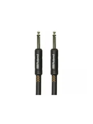 Nejlepší Cena Roland RIC-B20