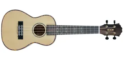 Akce Ukulele sopránové FZone FZU-37S Spruce