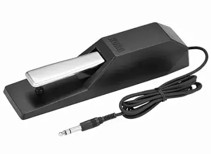 Pouze Dnes Sustain pedál Korg DS-1H