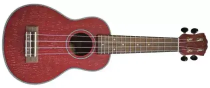 Ukulele sopránové FZone FZU-022S RD Ash Levný