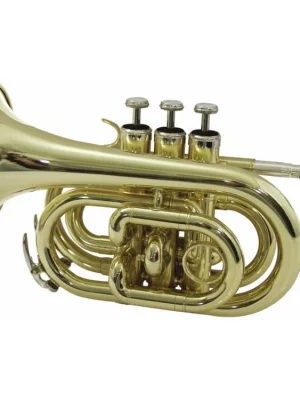 Kup Teď Dimavery TP-300 B trubka kapesní