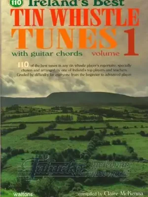 110 Ireland's Best Tin Whistle Tunes 1 Originální