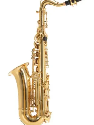 Eb-Alt saxofon pro děti Roy Benson AS-201 Super Cena