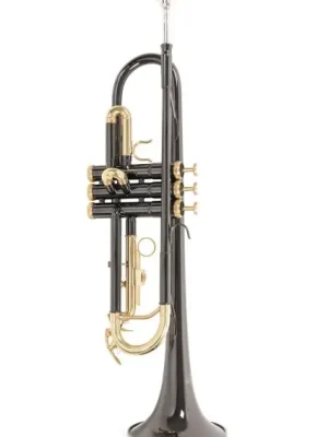 Bb-trumpeta Roy Benson TR-101K Ověřený