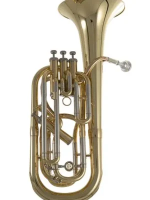 Bb – Baryton Roy Benson BH-302 Cenově Výhodný