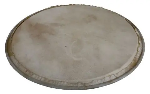 Blána pro perkuse Plenera Nakupujte Hned