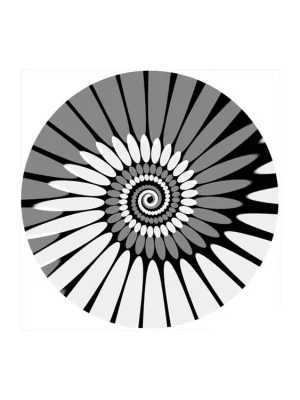 ZOMO Slipmat Paint white Koupit Online